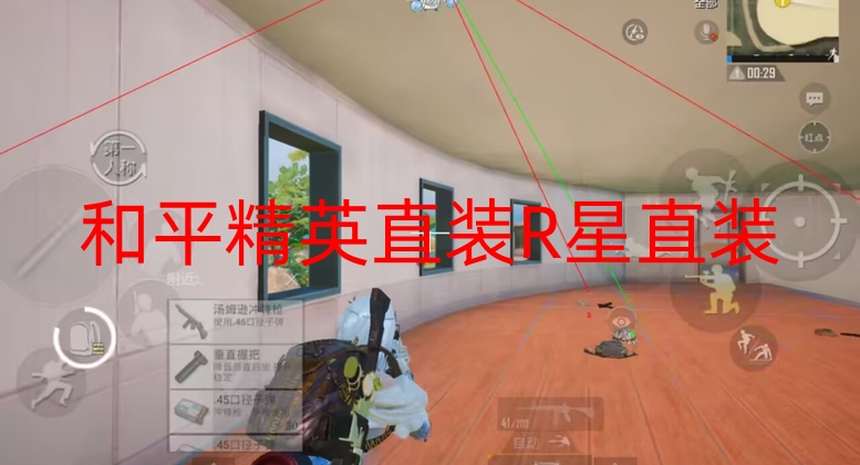 和平精英安卓透视辅助-和平精英直装R星直